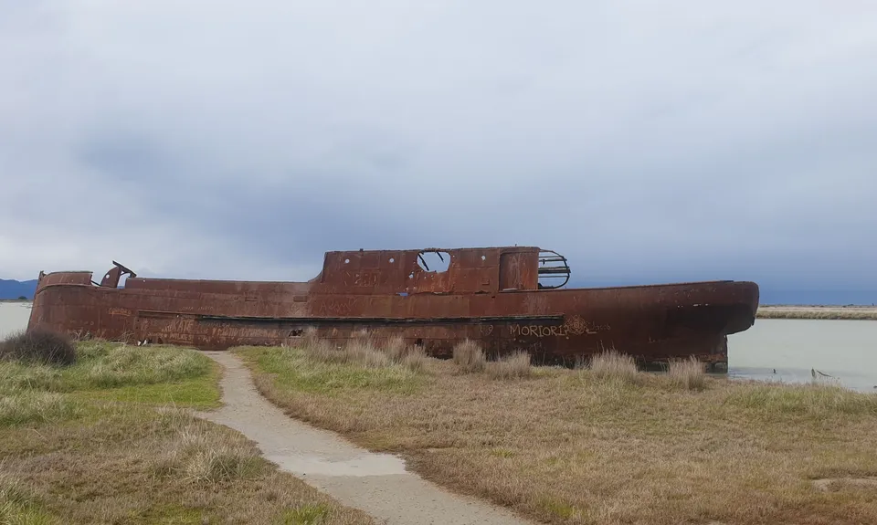 Wairau Lagoons Loop, Marlborough