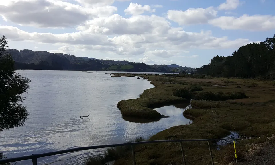 Pauanui Trail - Stage 1 , Waikato