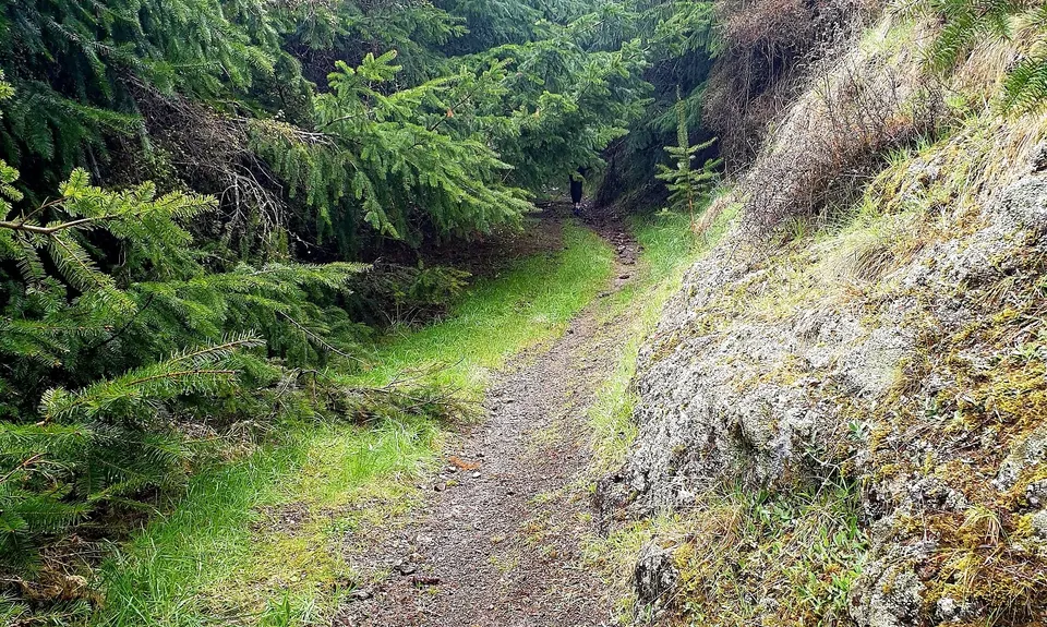 Te Moana short loop, Canterbury