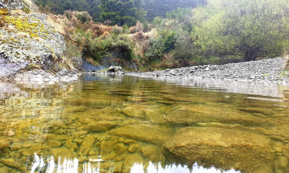 Te Moana short loop, Canterbury