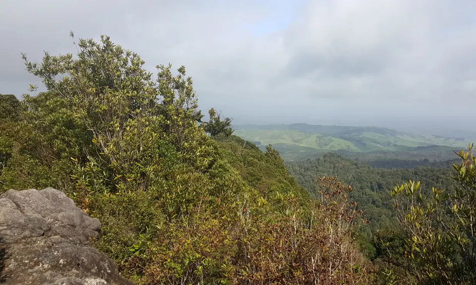 Maungatautari crazy 8, Waikato