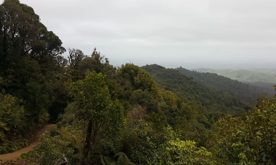 Maungatautari crazy 8, Waikato