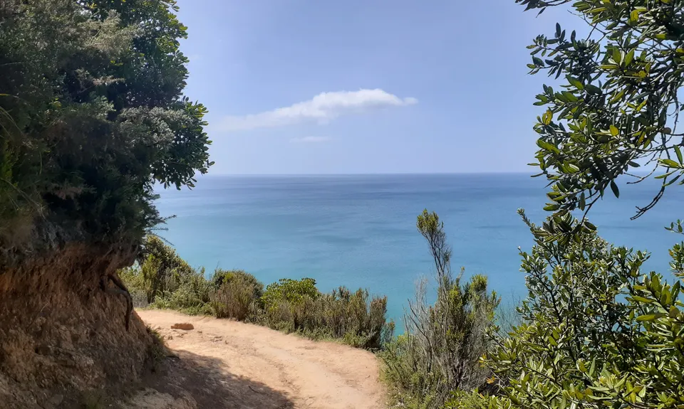 The Great OH Trail, Bay of Plenty
