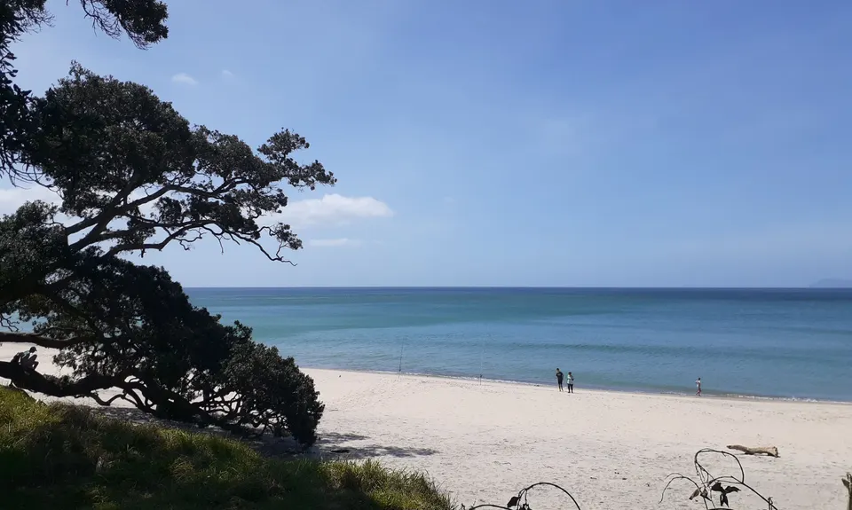 The Great OH Trail, Bay of Plenty