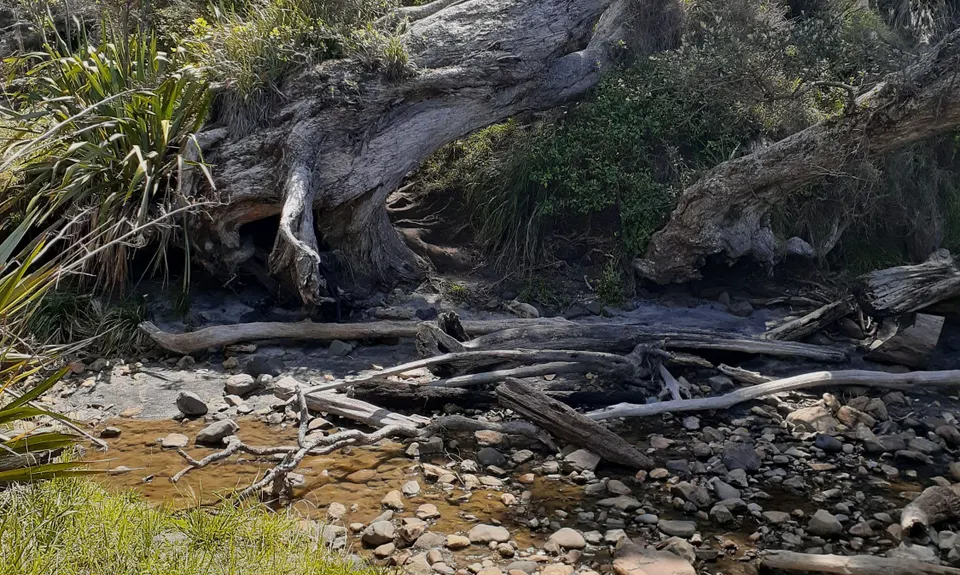 The Great OH Trail, Bay of Plenty