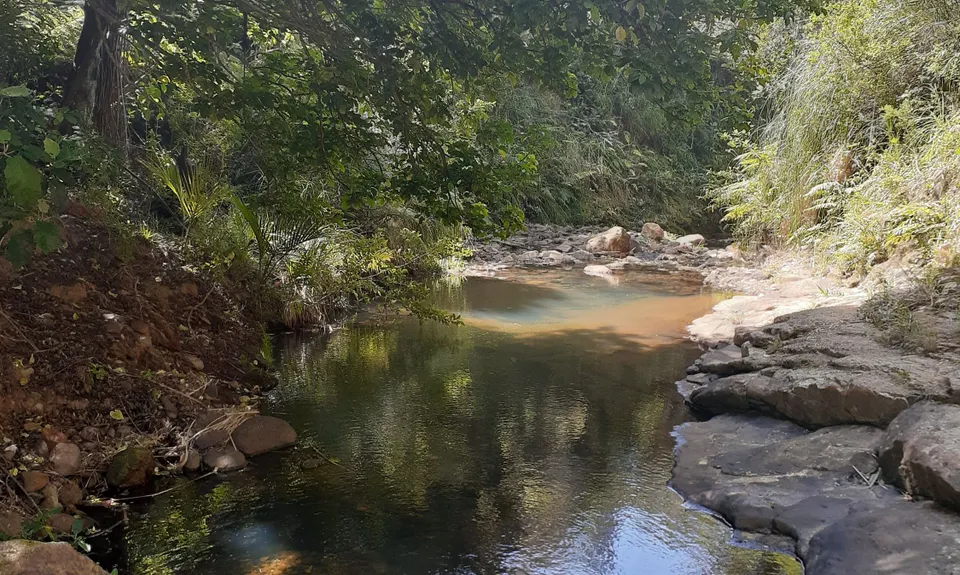 The Great OH Trail, Bay of Plenty