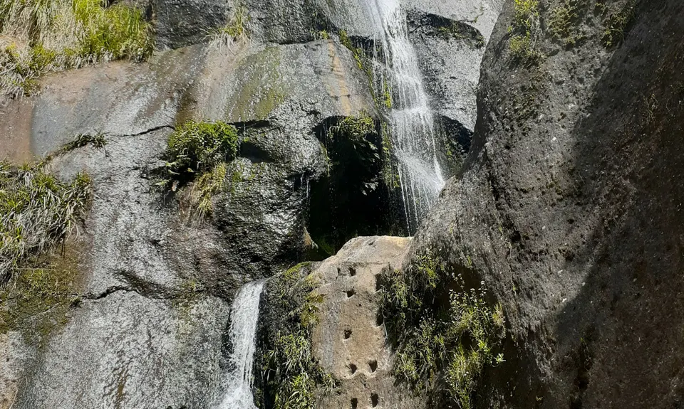 The Great OH Trail, Bay of Plenty