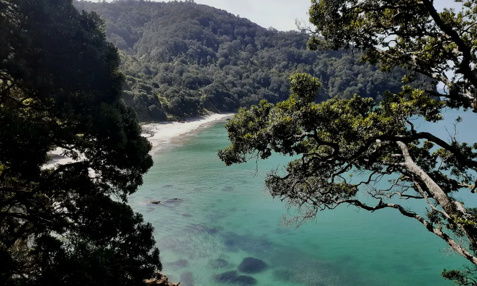 The Great OH Trail, Bay of Plenty