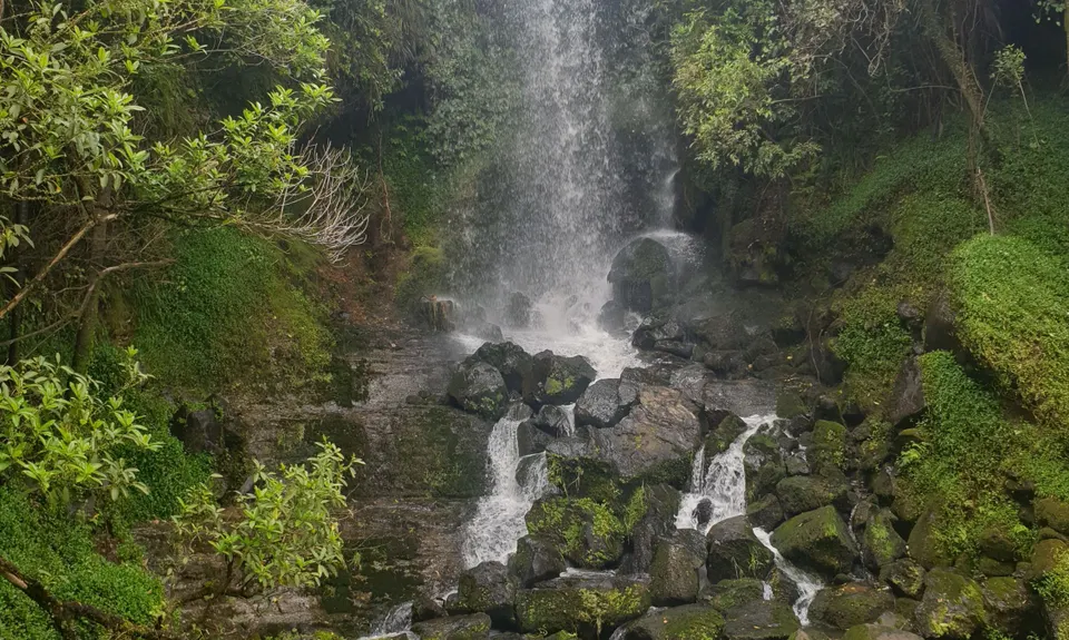 Harker Reserve to Vivian Falls, Waikato