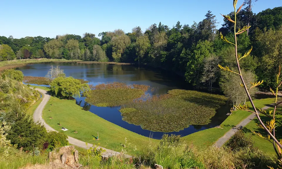 Te Koutu Has It All, Waikato