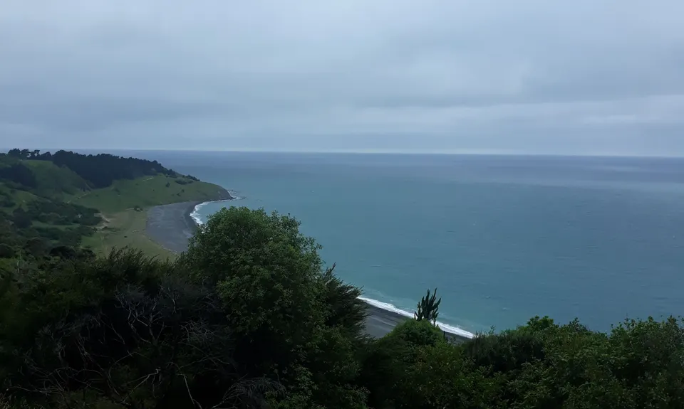 Manuka Bay Track, Canterbury