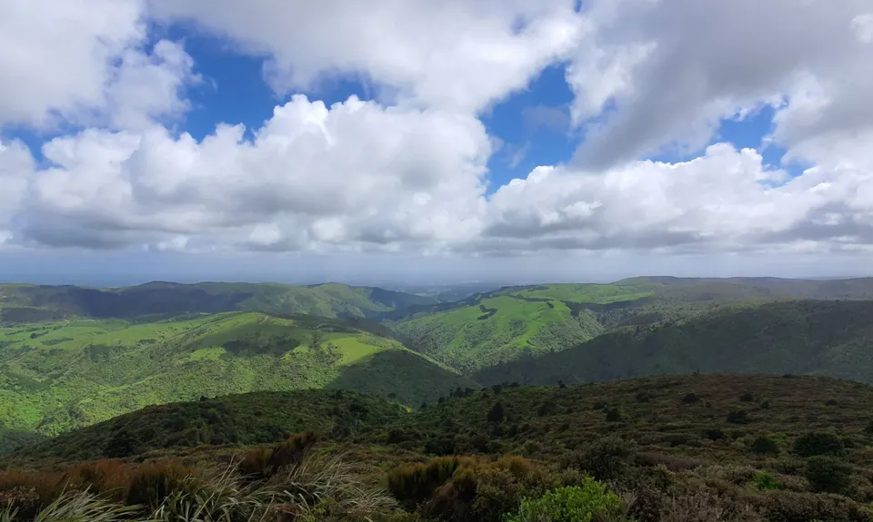 Arawaru Trig Loop, Manawatu - Wanganui