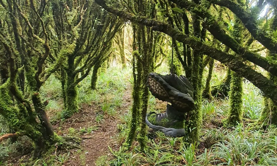 Arawaru Trig Loop, Manawatu - Wanganui