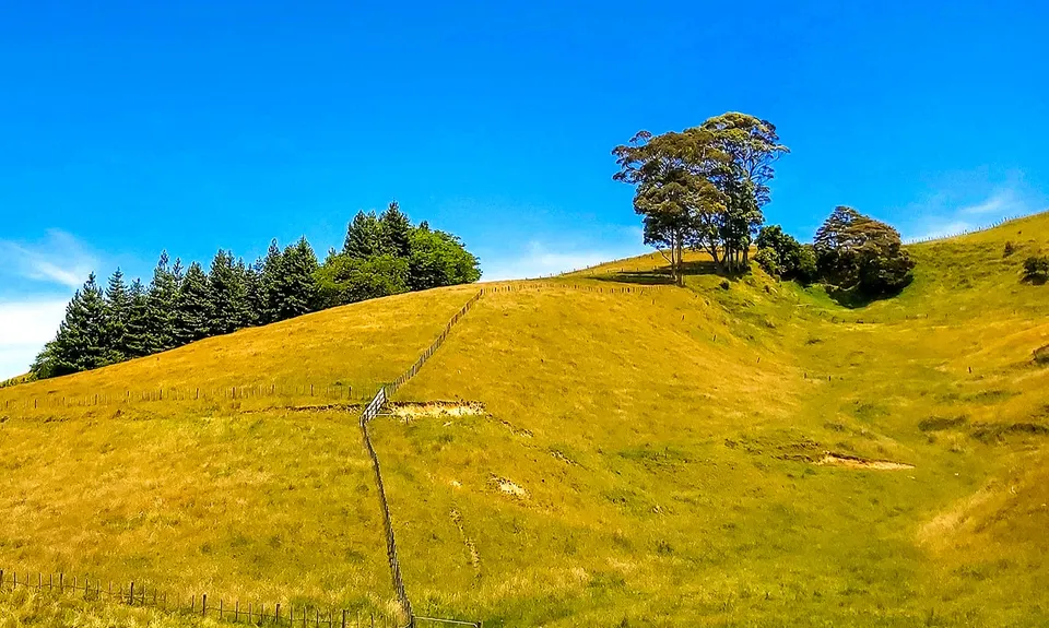 Papamoa Hills Outer Loop, Bay of Plenty