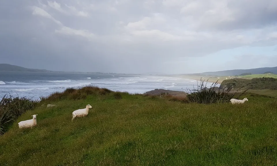 Tihaka Beach Track, Southland