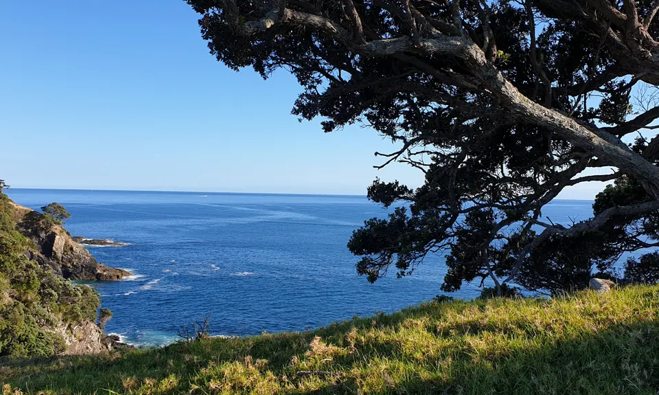 Urupukapuka Island Loop, Northland