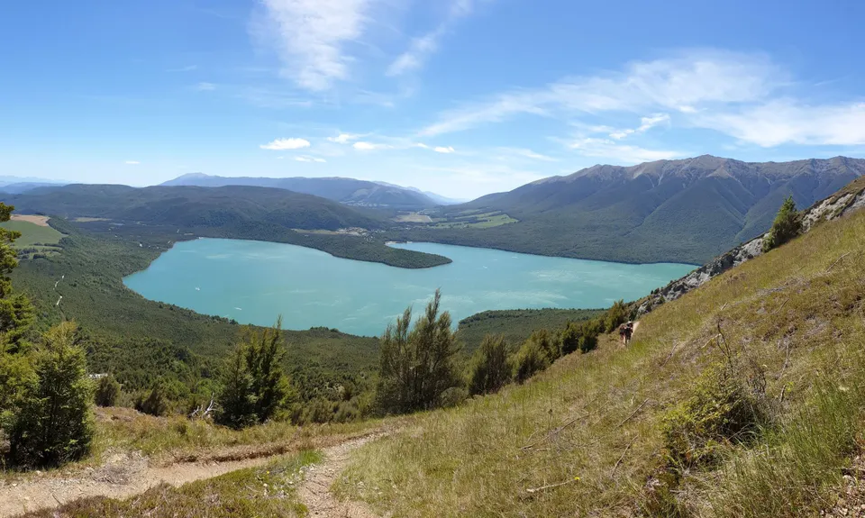 Mt Robert Loop, Tasman