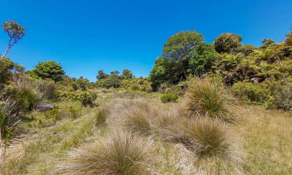 Kaimai South Side To Hurunui Hut, Waikato
