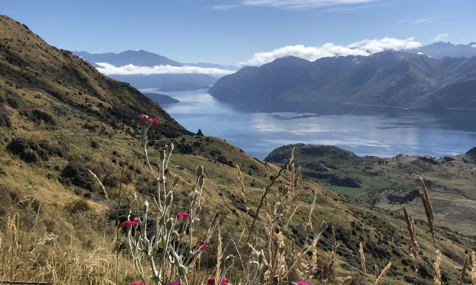 Wanaka Skyline Trail, Otago