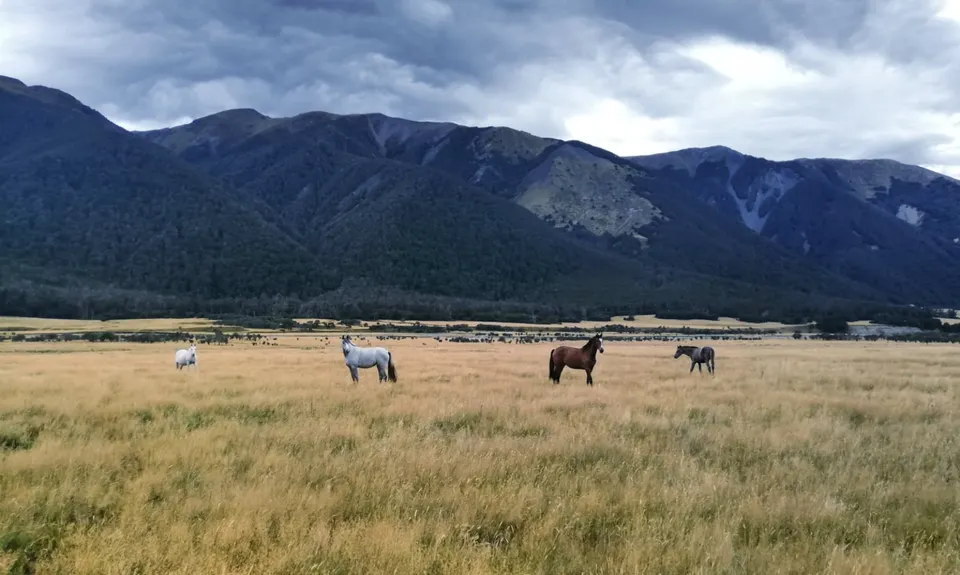 St James Walkway, West Coast