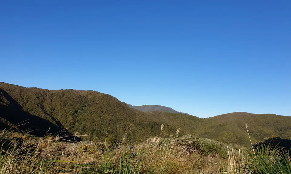 Burn Hut Loop, Manawatu - Wanganui