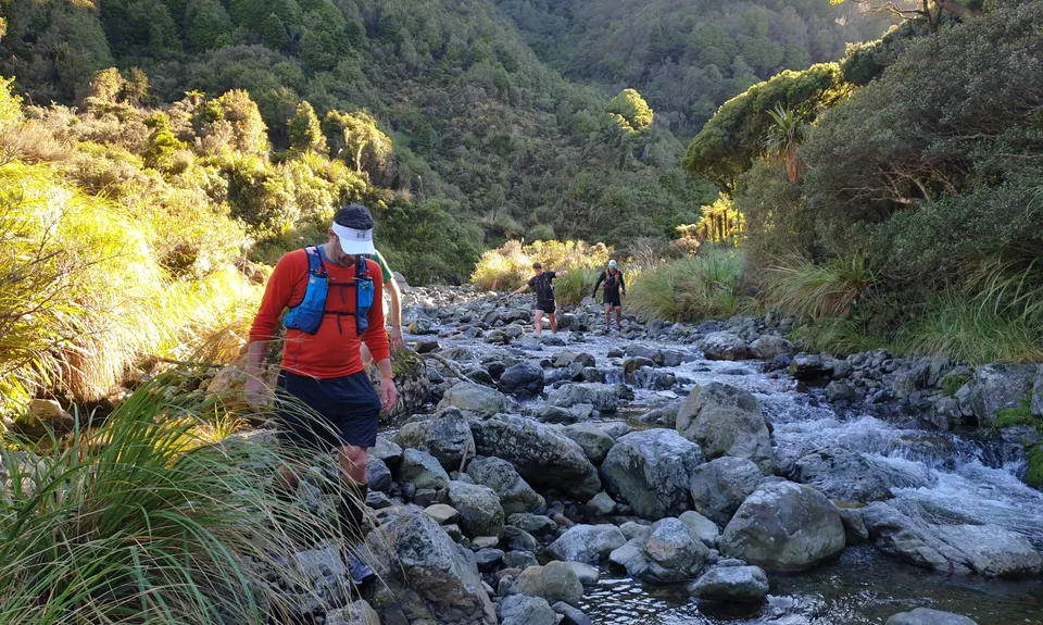 Burn Hut Loop, Manawatu - Wanganui