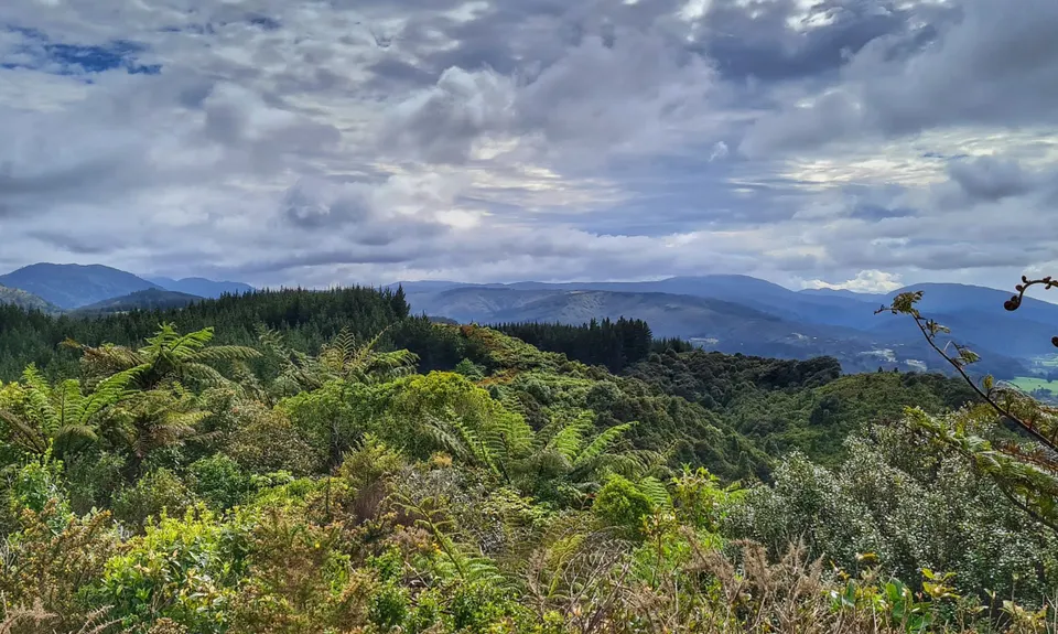 Birchville Dam Loop, Wellington