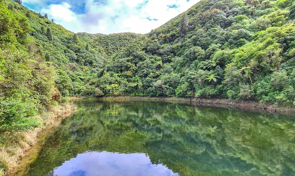 Birchville Dam Loop, Wellington