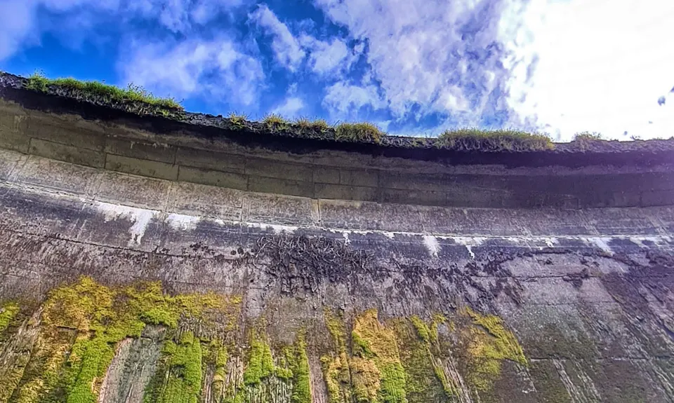 Birchville Dam Loop, Wellington