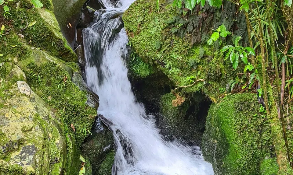 Birchville Dam Loop, Wellington