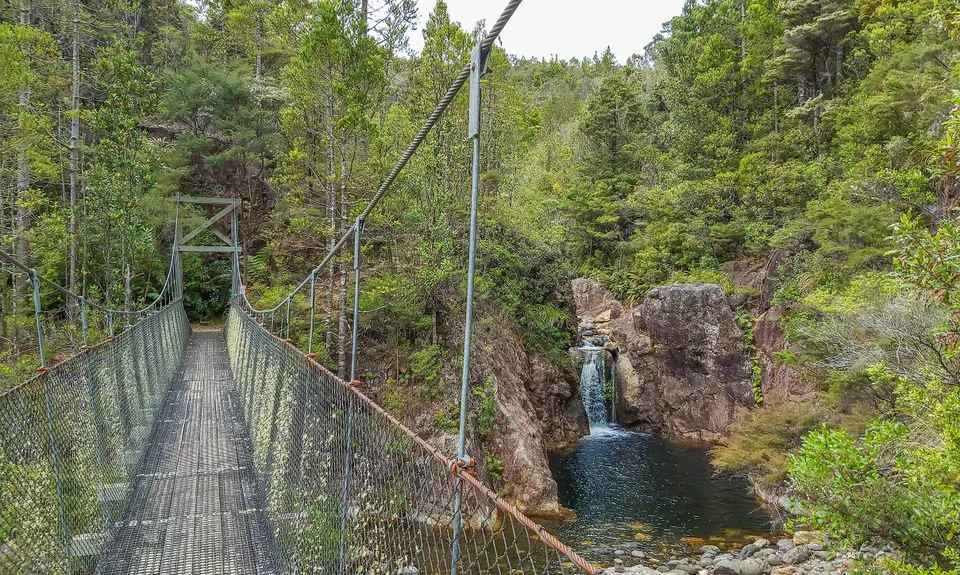 Wharekirauponga Track, Waikato