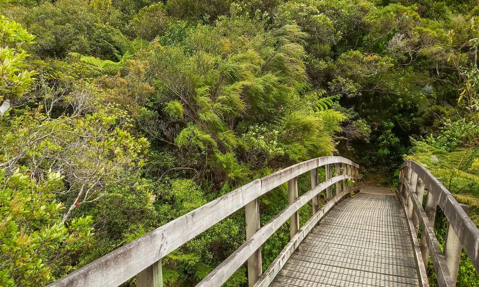 Wentworth Valley Falls, Waikato
