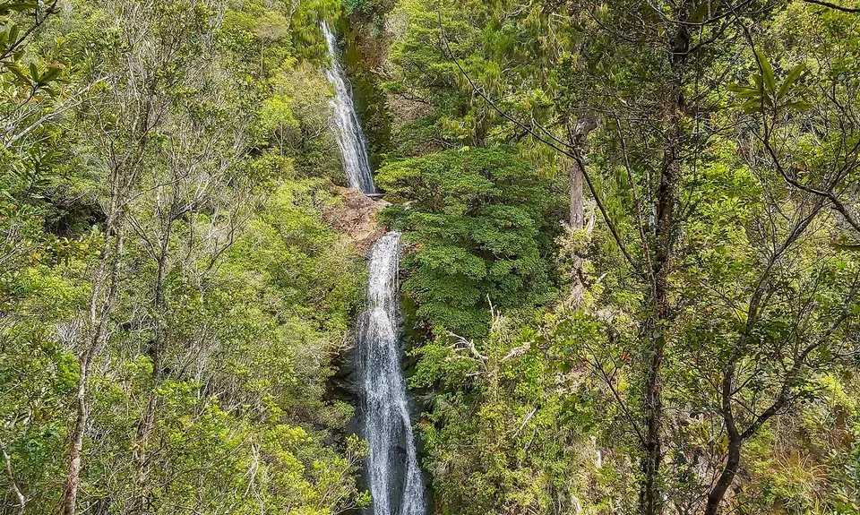 Wentworth Valley Falls, Waikato