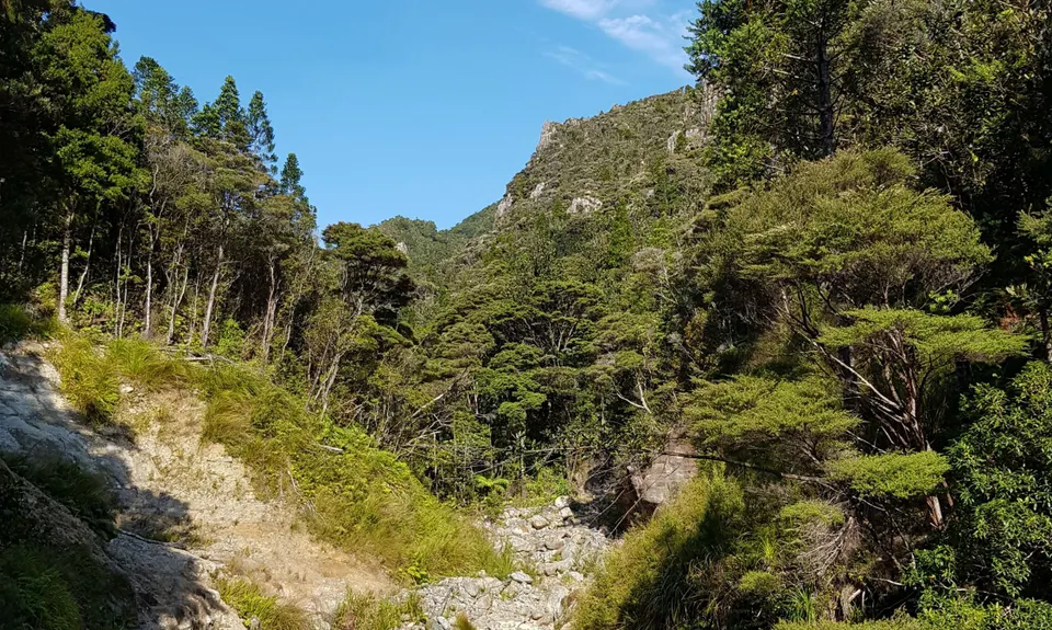 Aotea Track, Great Barrier Island, Auckland