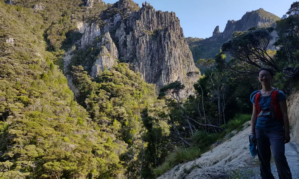 Aotea Track, Great Barrier Island, Auckland