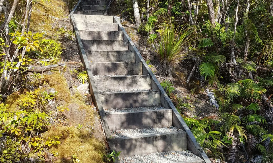 Aotea Track, Great Barrier Island, Auckland