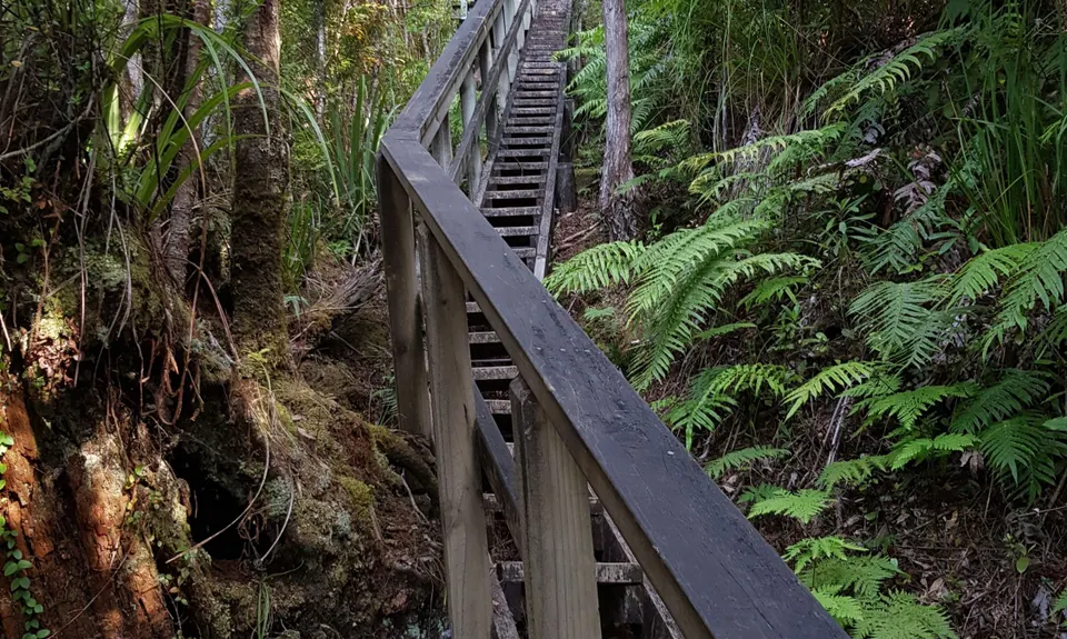 Aotea Track, Great Barrier Island, Auckland