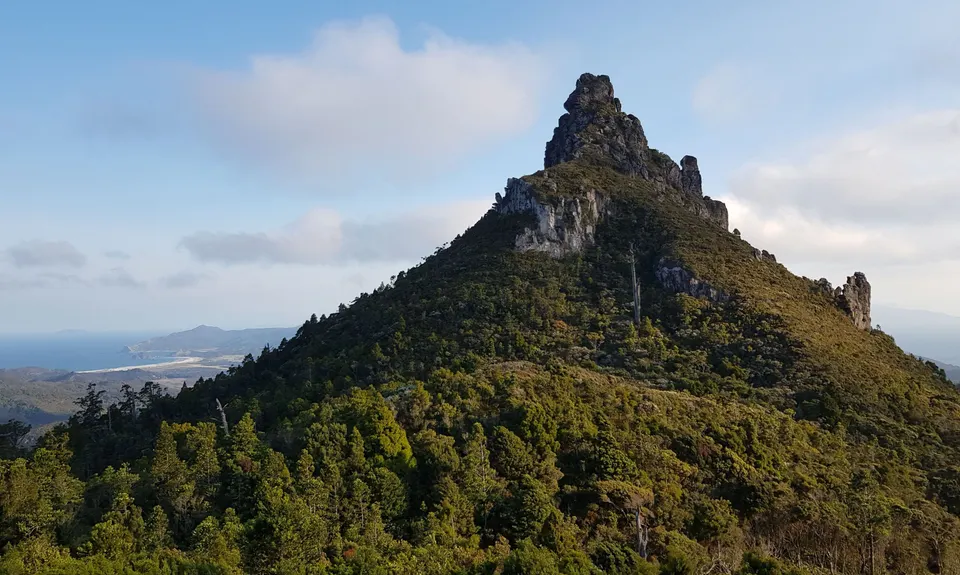 Aotea Track, Great Barrier Island, Auckland