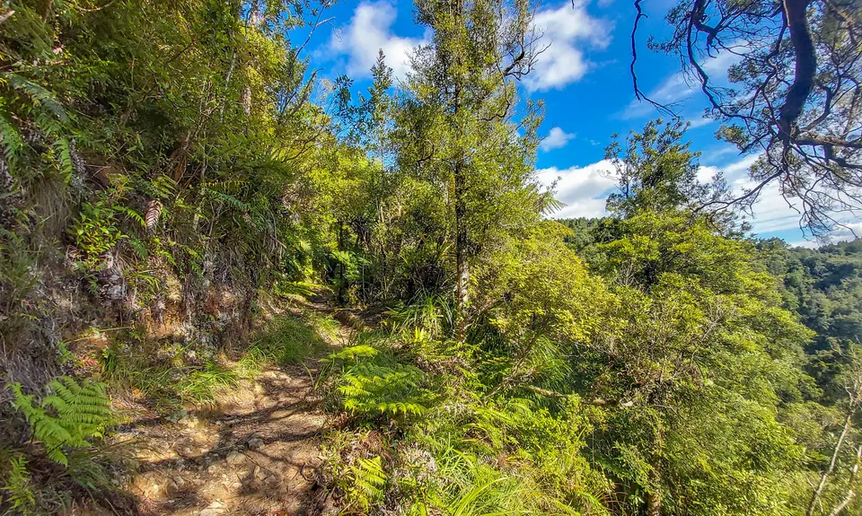 Tuahu Traverse, Bay of Plenty