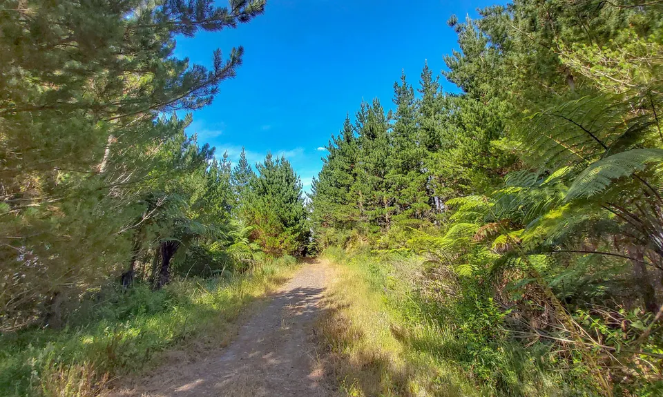Tuahu Traverse, Bay of Plenty