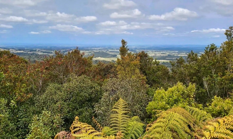 Otainewainuku - Whataroa Falls, Bay of Plenty