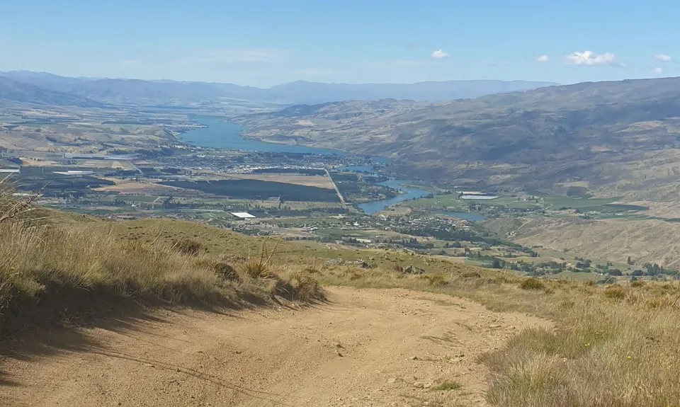 Young Australian, Otago