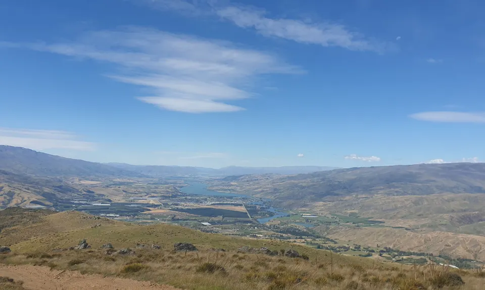 Young Australian, Otago