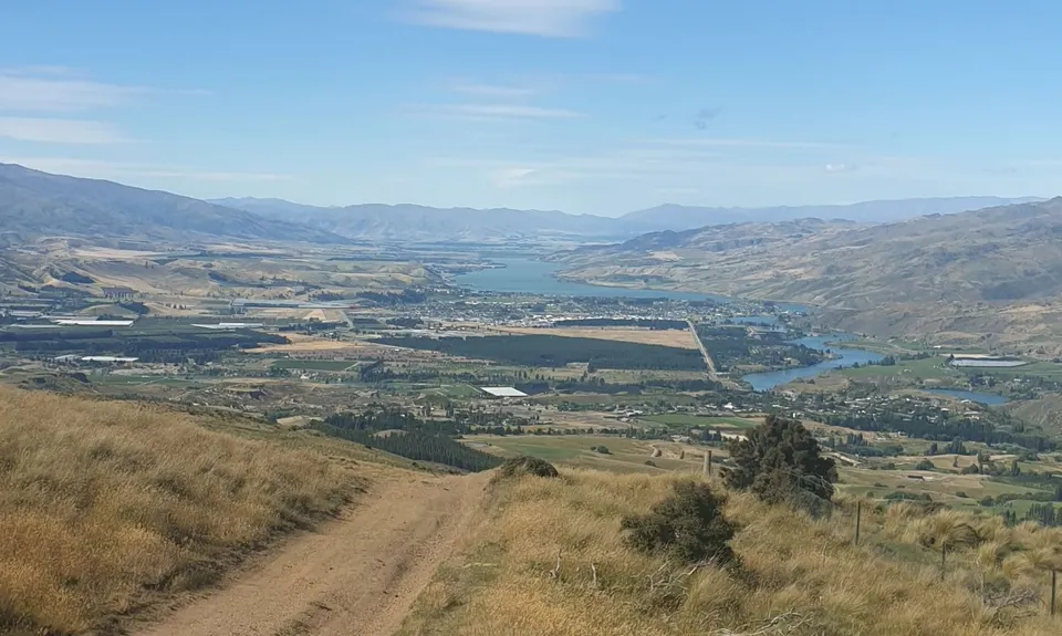 Young Australian, Otago