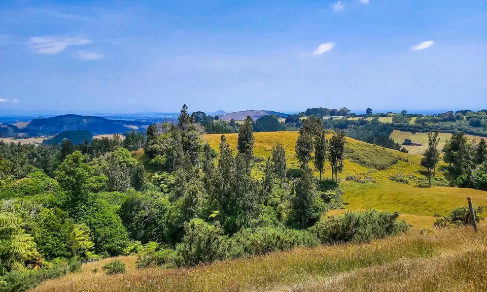 Otawa Lodge & Otawa Trig Loop, Bay of Plenty
