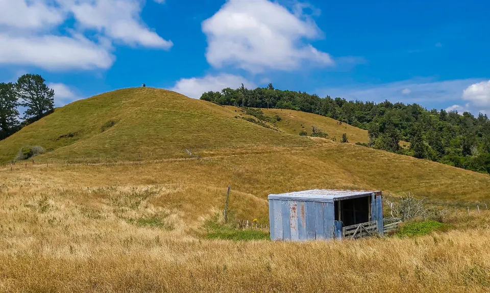 Otawa Lodge & Otawa Trig Loop, Bay of Plenty