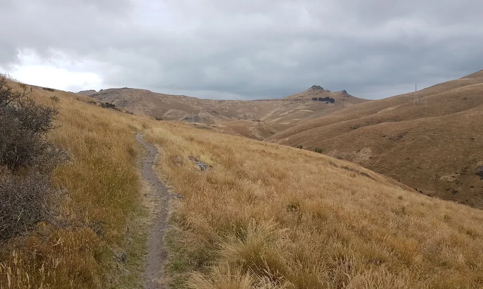 Montgomery Loop, Canterbury
