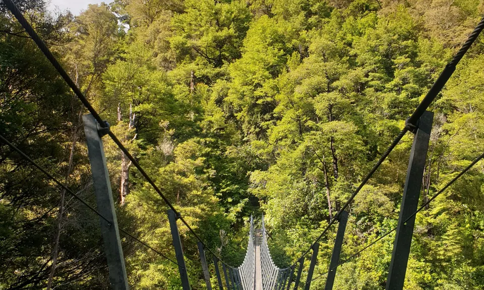 Murray Creek and Devils Tail Revenge, West Coast
