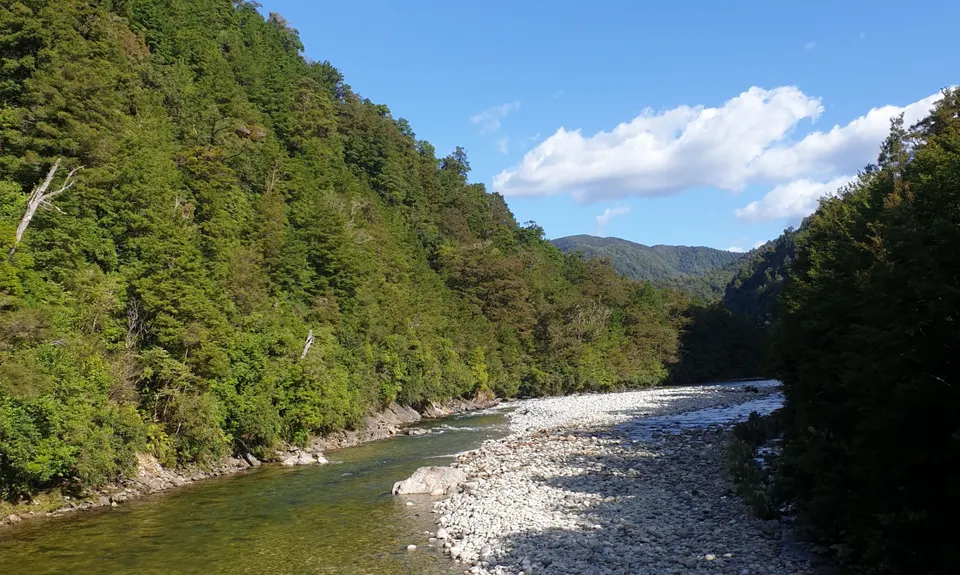 Murray Creek and Devils Tail Revenge, West Coast
