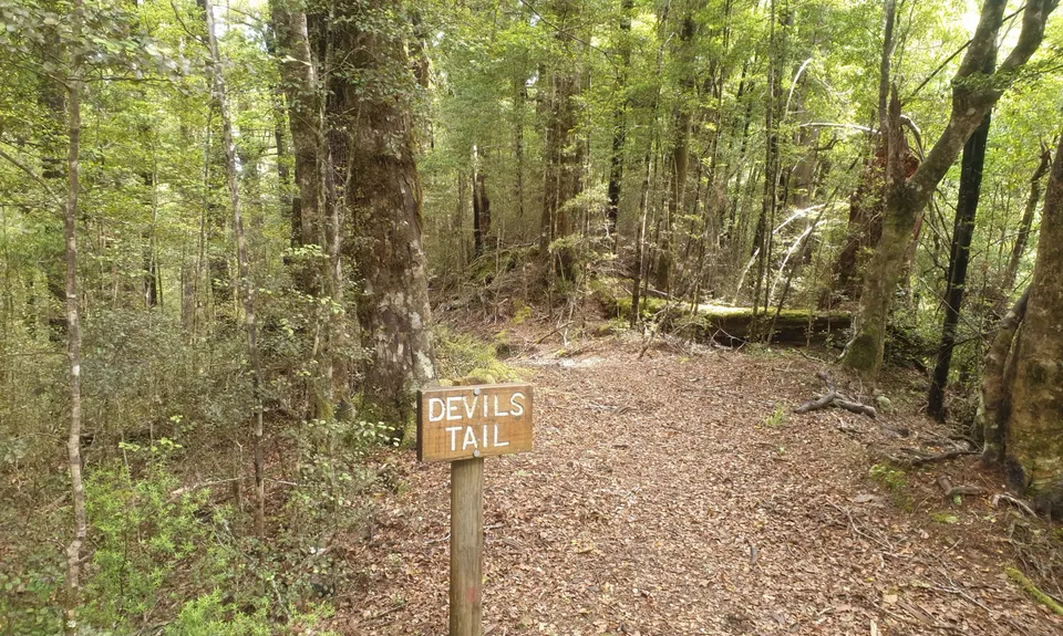 Murray Creek and Devils Tail Revenge, West Coast